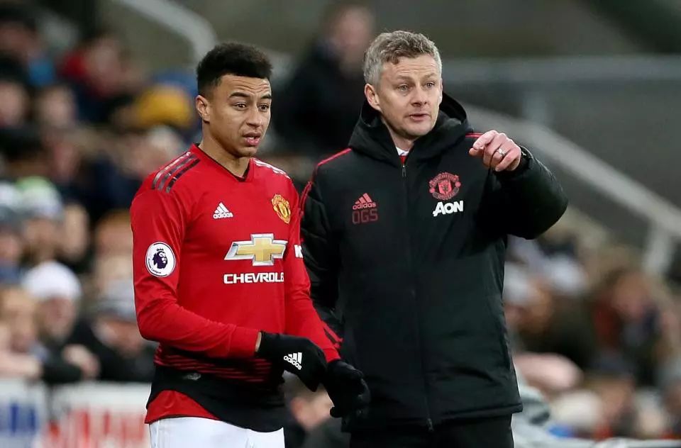 不仅仅是物 不仅仅是物