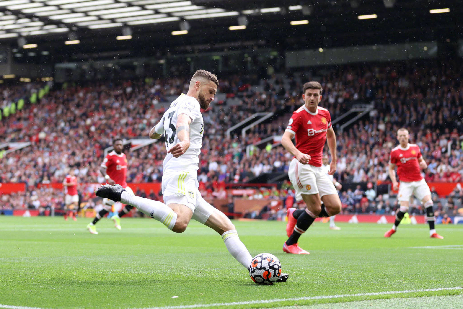 年前就已秘 年前就已秘